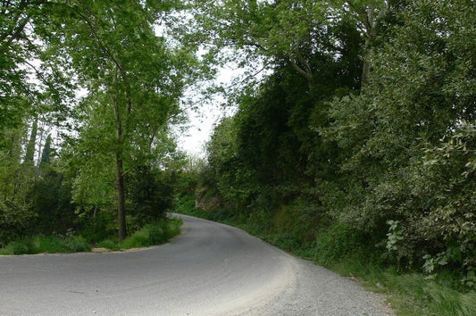 The Gate of Mystery: YAQTO